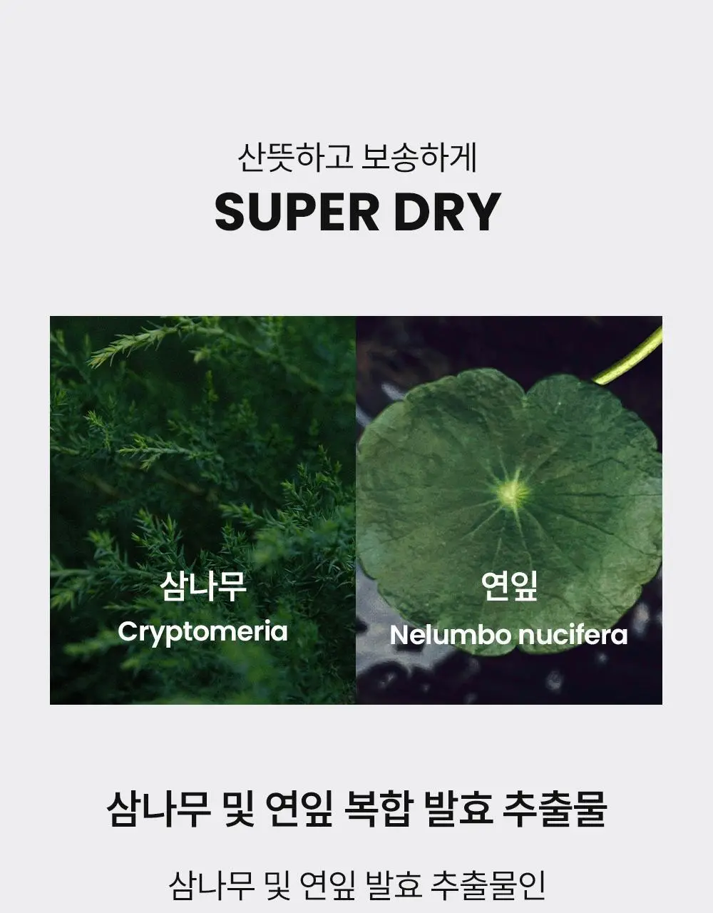[등드름/체취케어] 낫포유 지성피부전용 등드름/가드름 클리어 바디미스트 포맨 200ml 상세페이지 33